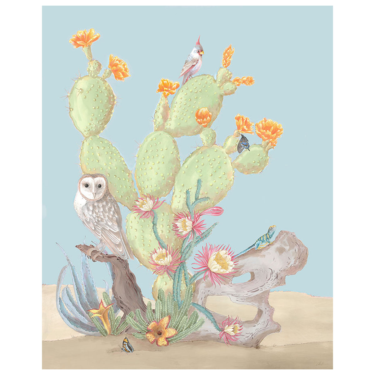 Sonoran Oasis