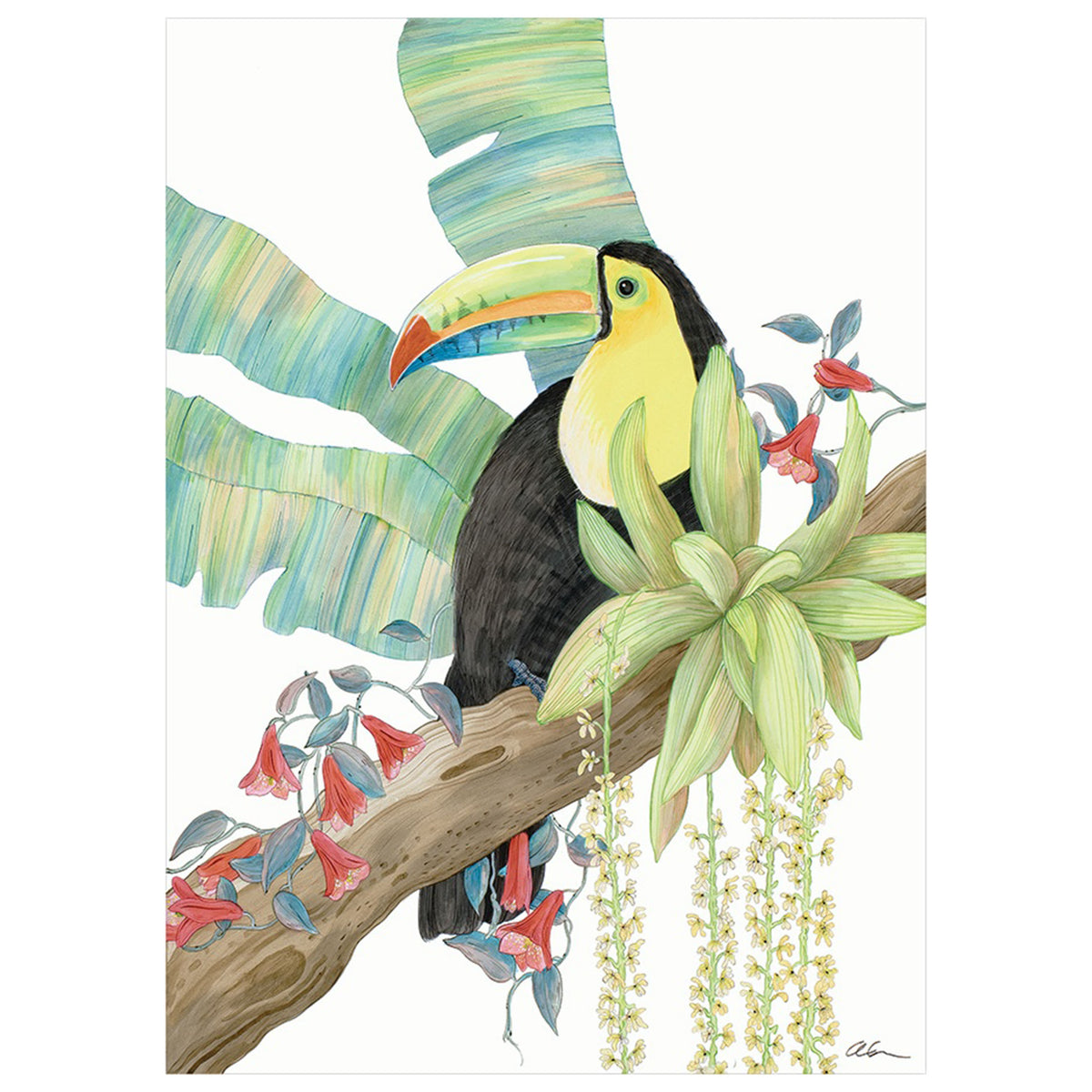 Toucan Play at That game