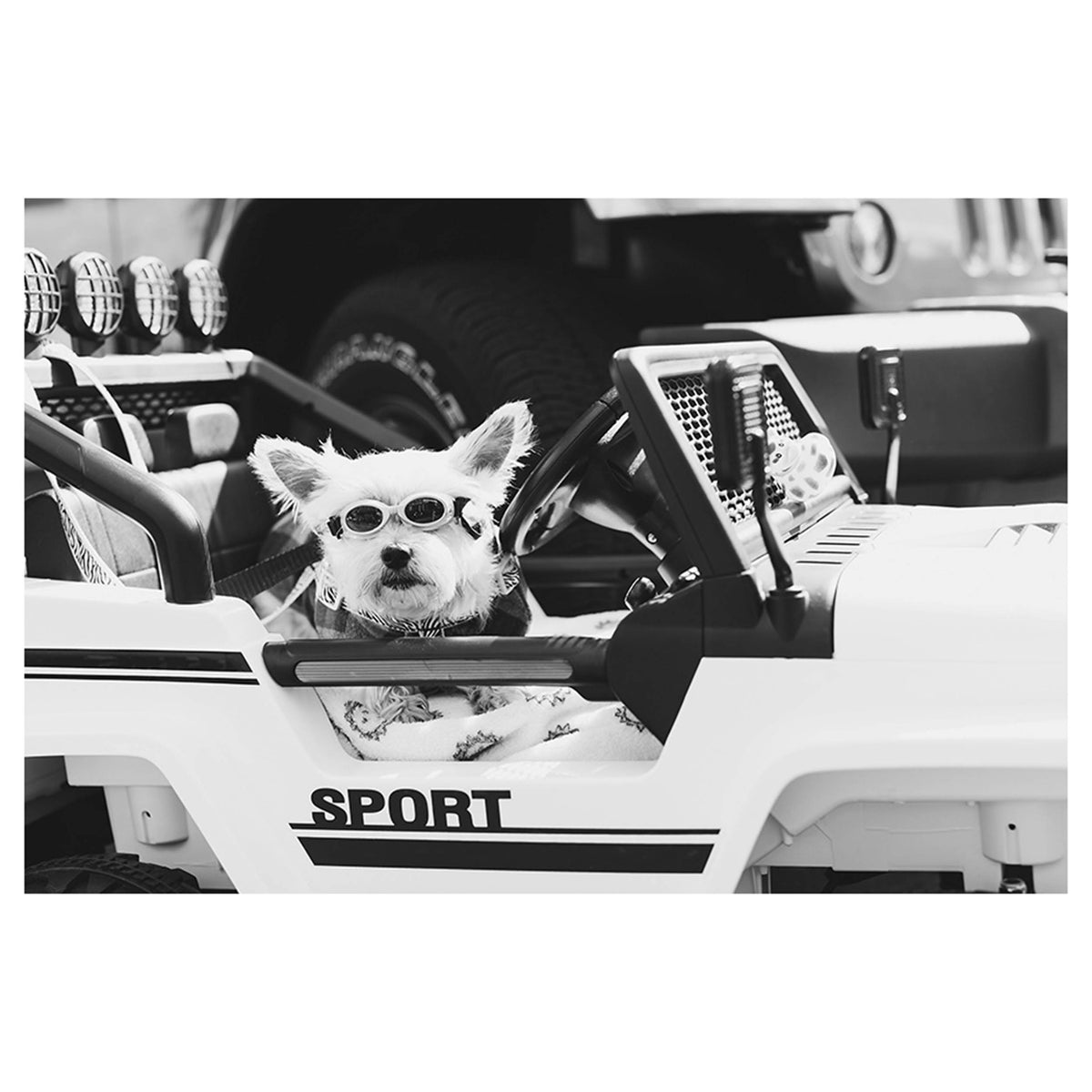 Rad Rider
