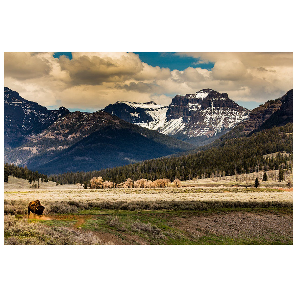 Dust Digger Yellowstone