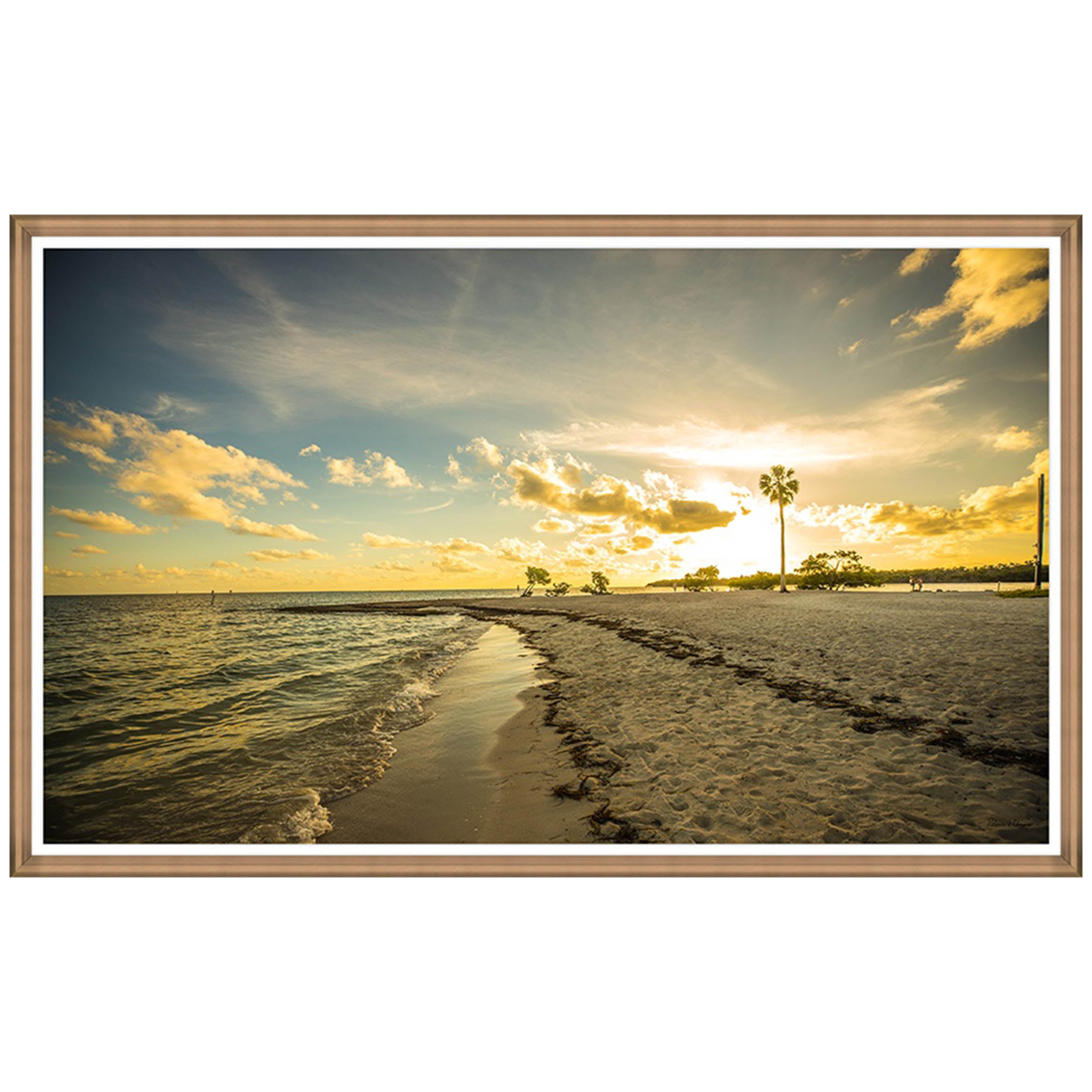Shoreline Stroll