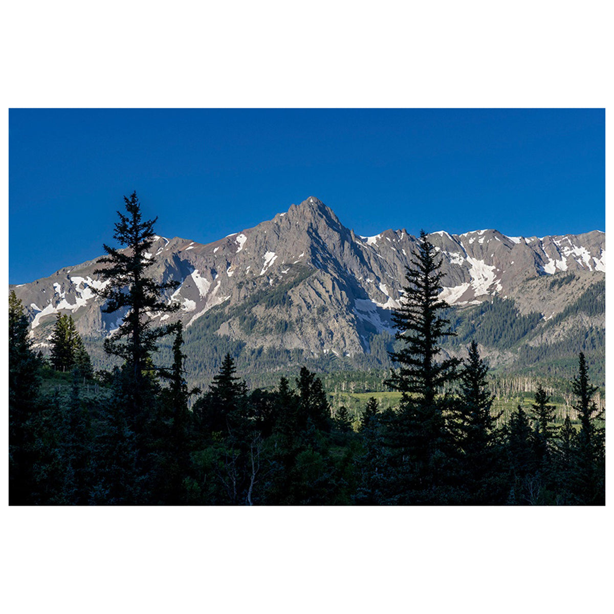 Tree Line Ridge