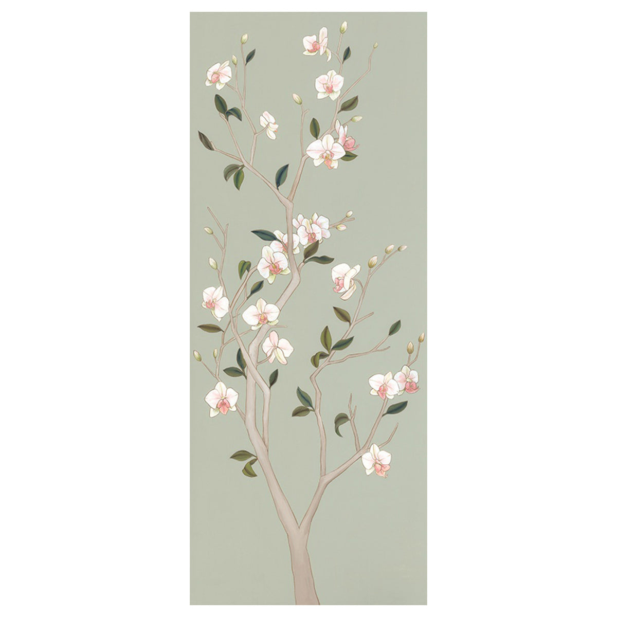 Magnolia Tree II