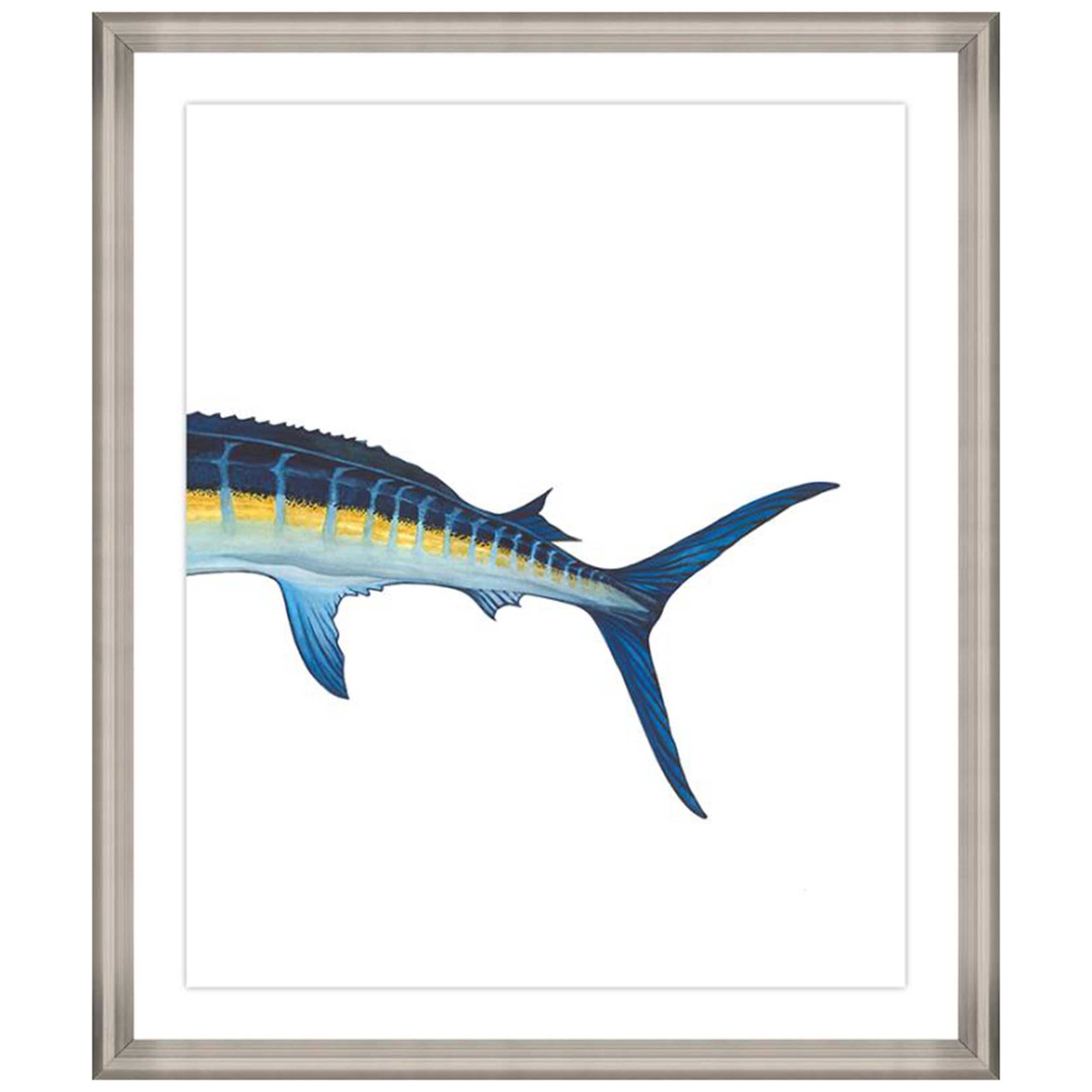 Atlantic Blue Marlin II
