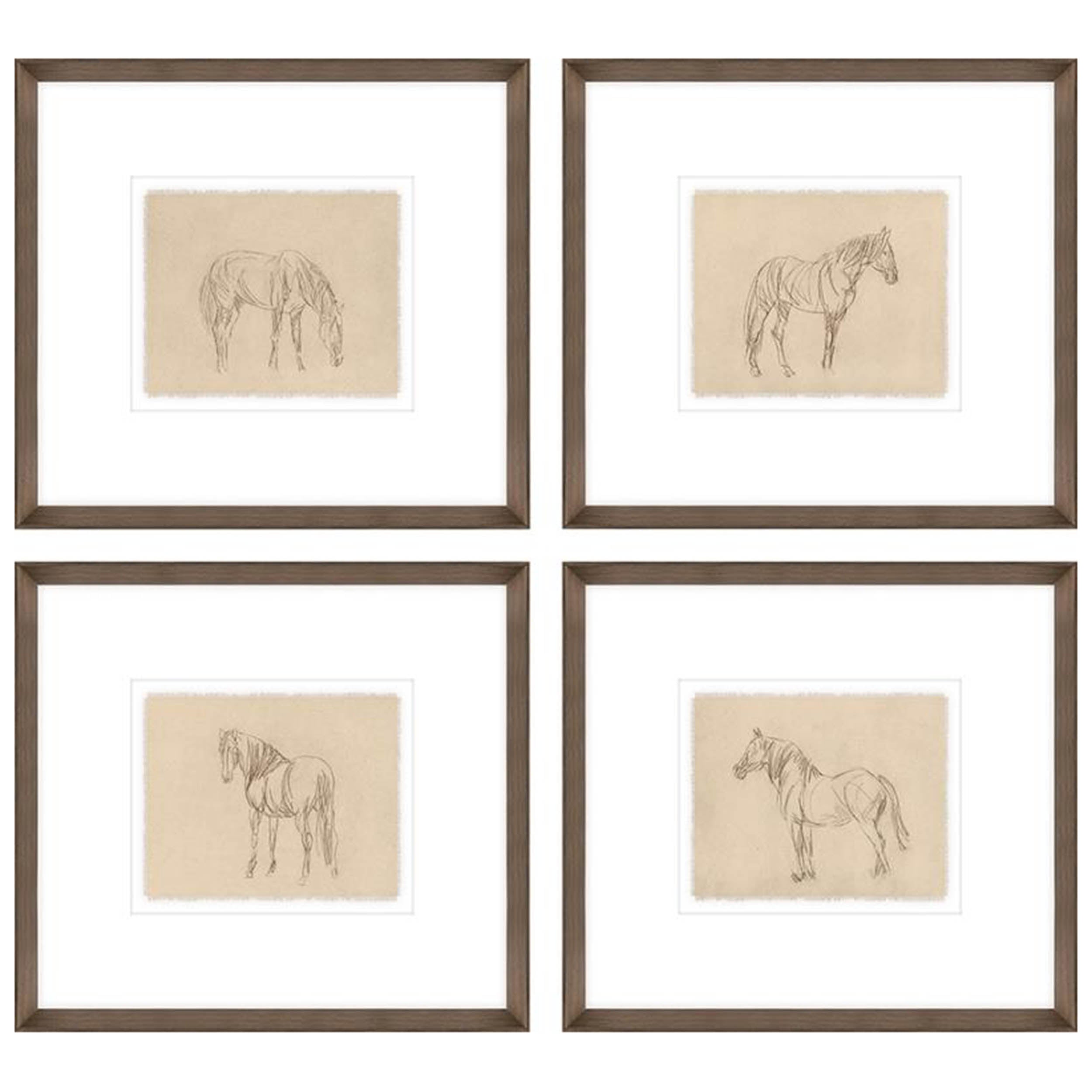 Equine Impression Set I (Set of 4)