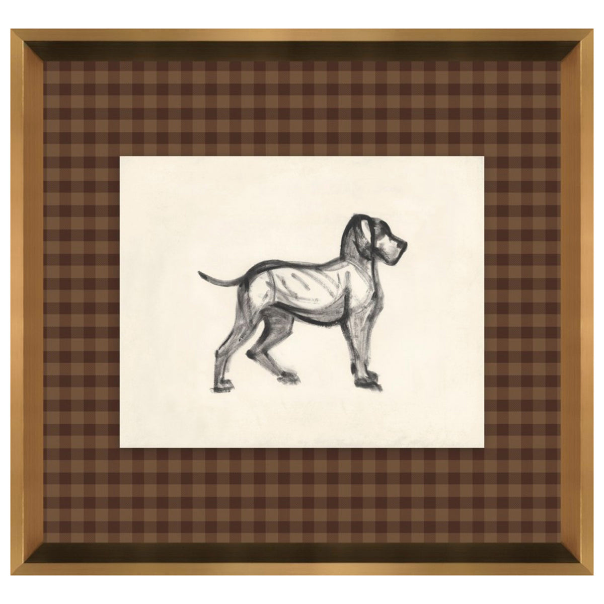 Canine Impression I