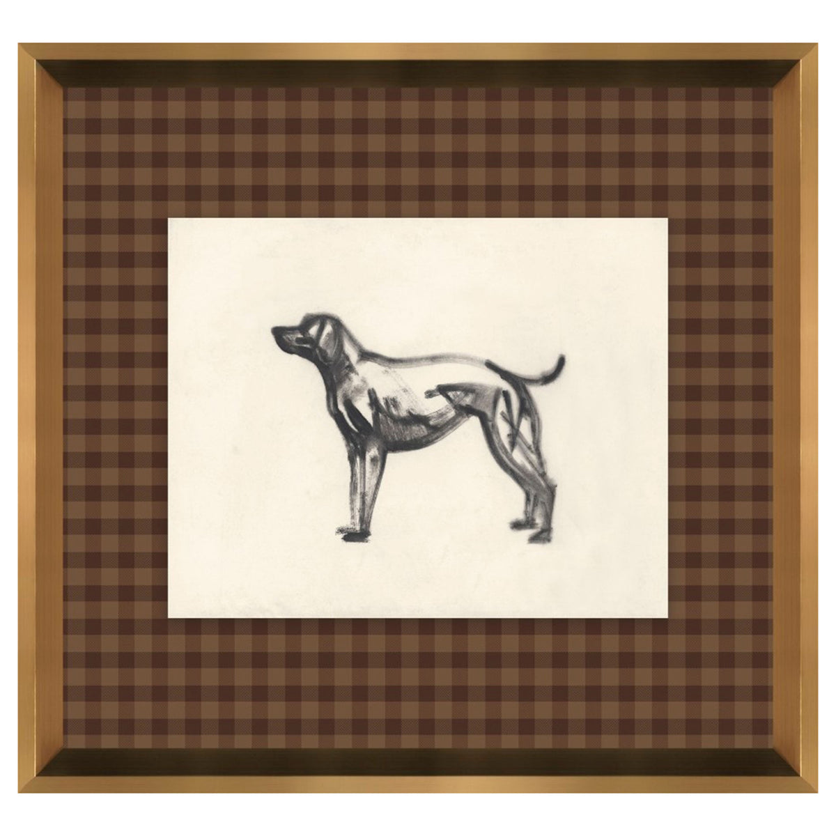 Canine Impression II