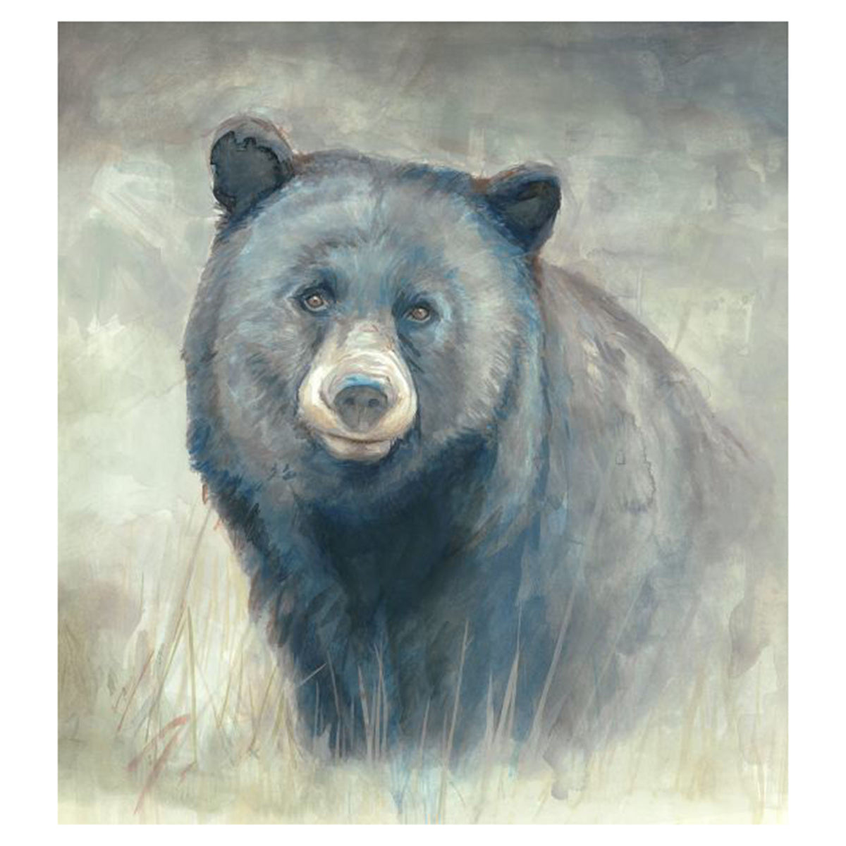 Ben Black Bear Art by D'Alessandro Léon