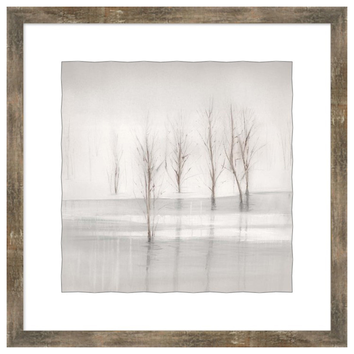 Betulle Bianche I