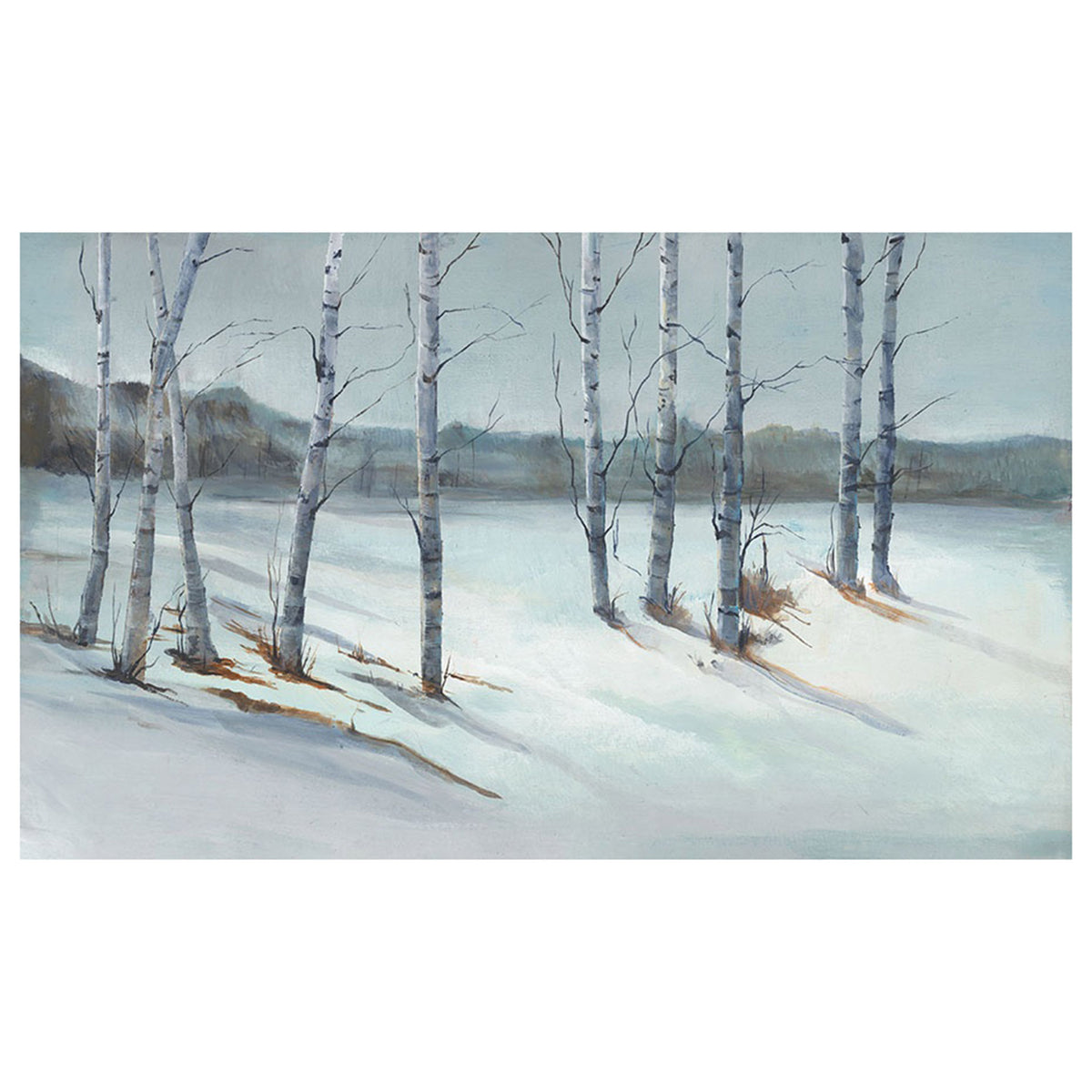Winter Birch Trees