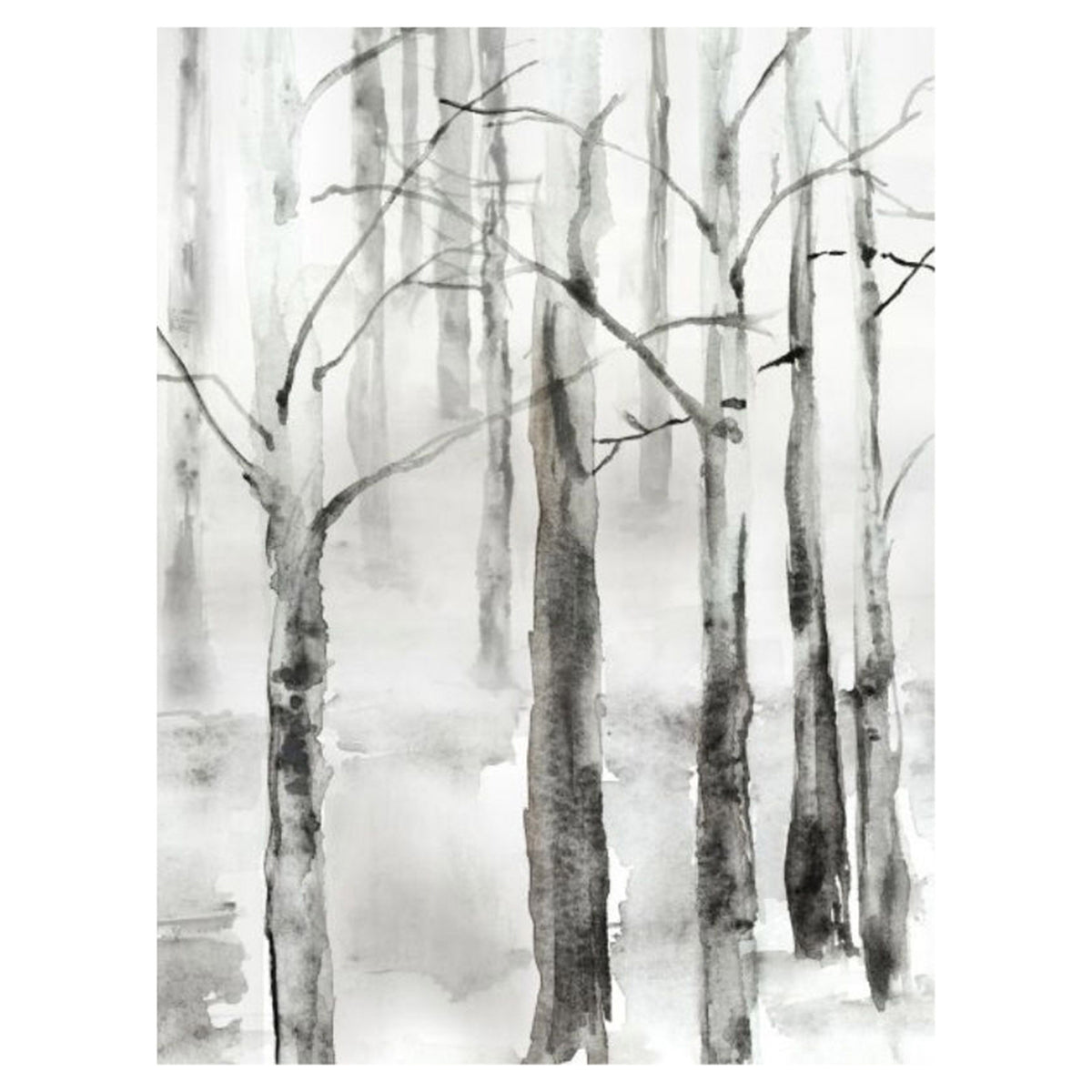 Frosted Birch I