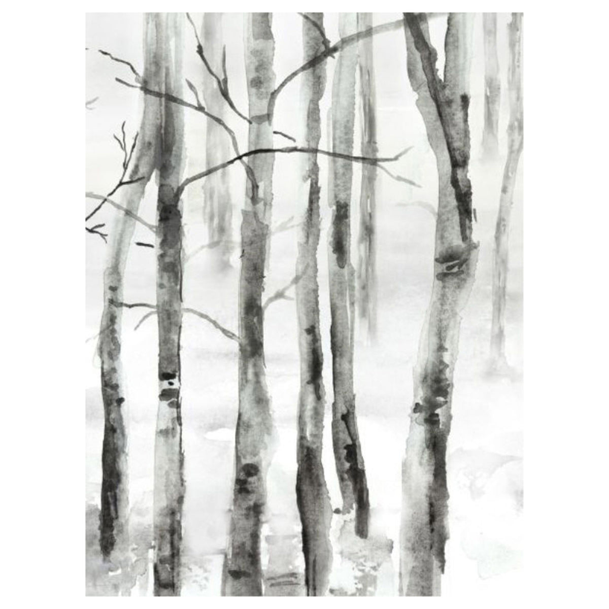Frosted Birch II