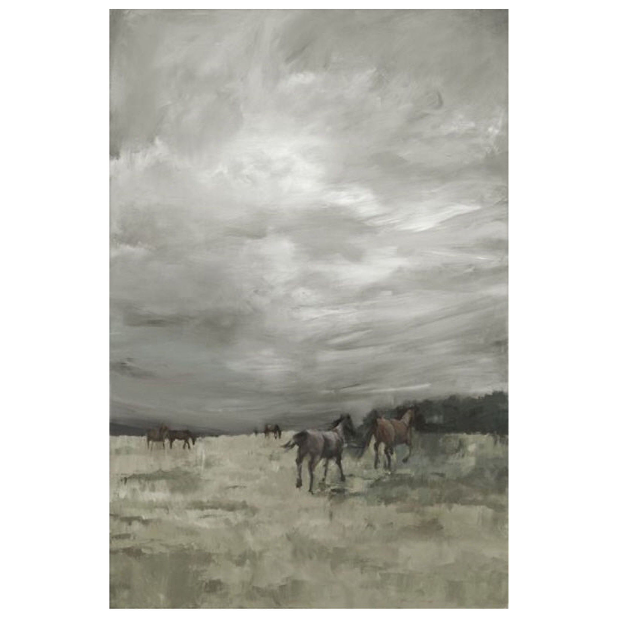 New Lands