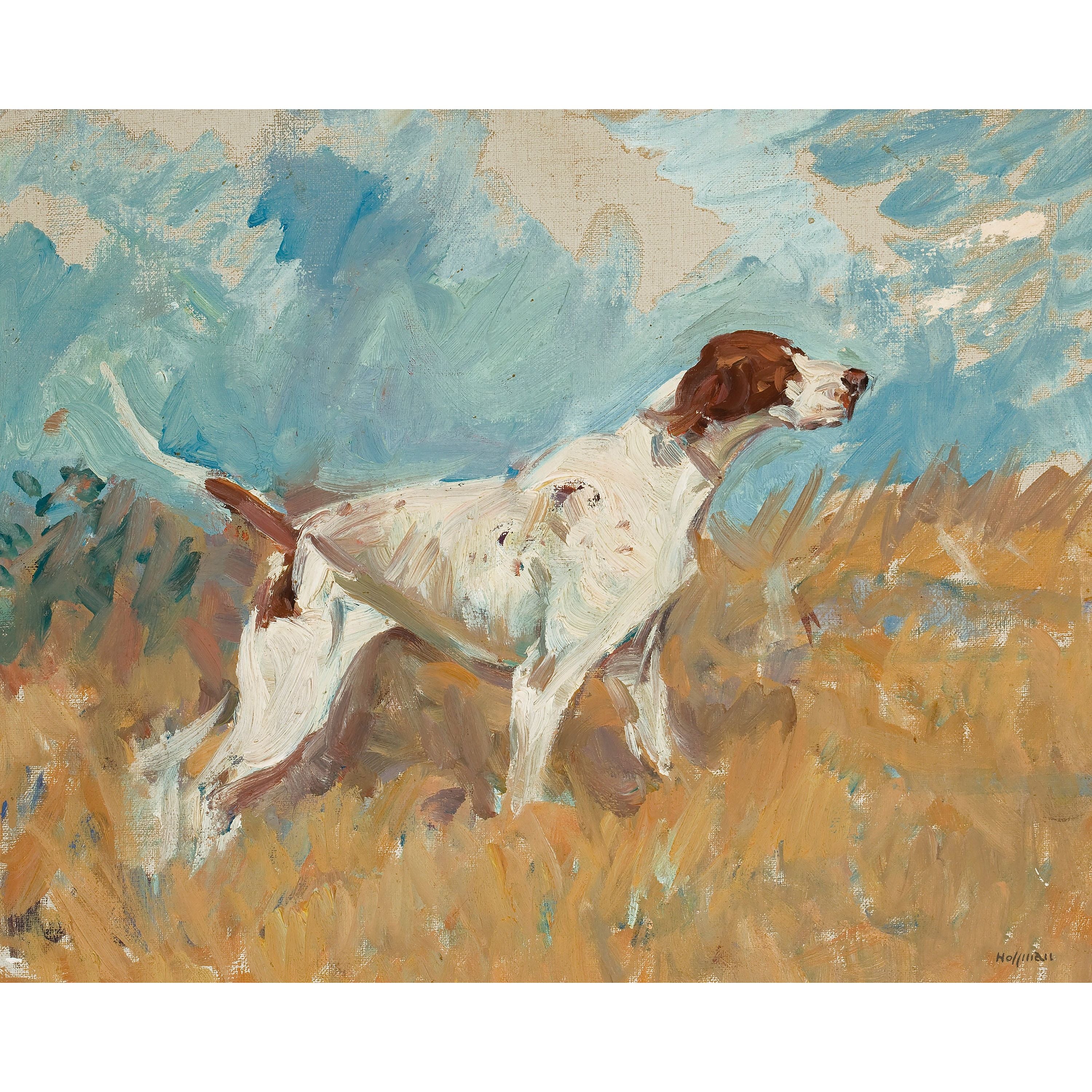 English Setter on Watch