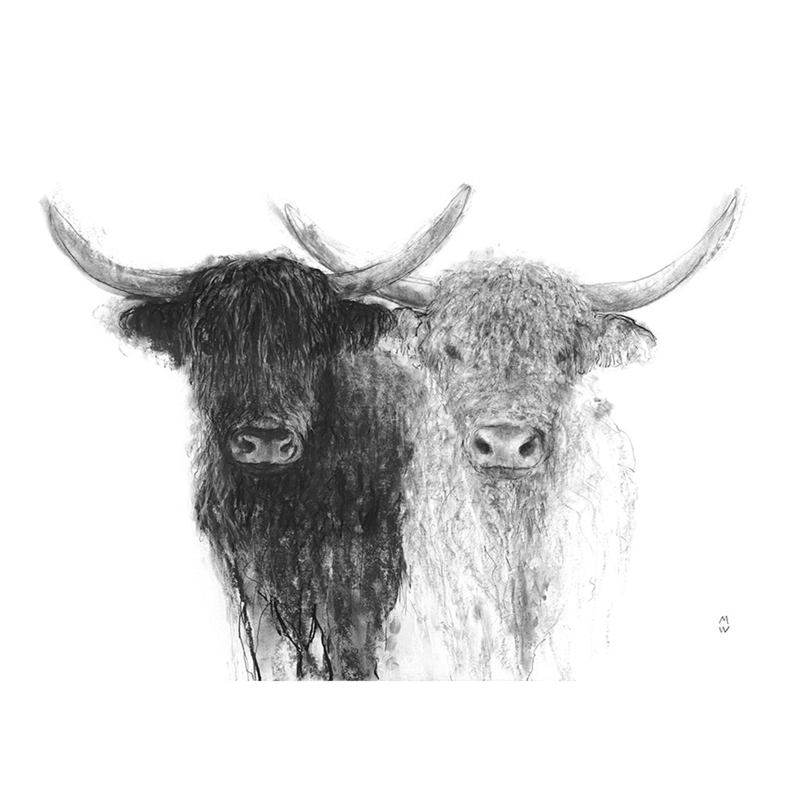 Cattle Companions