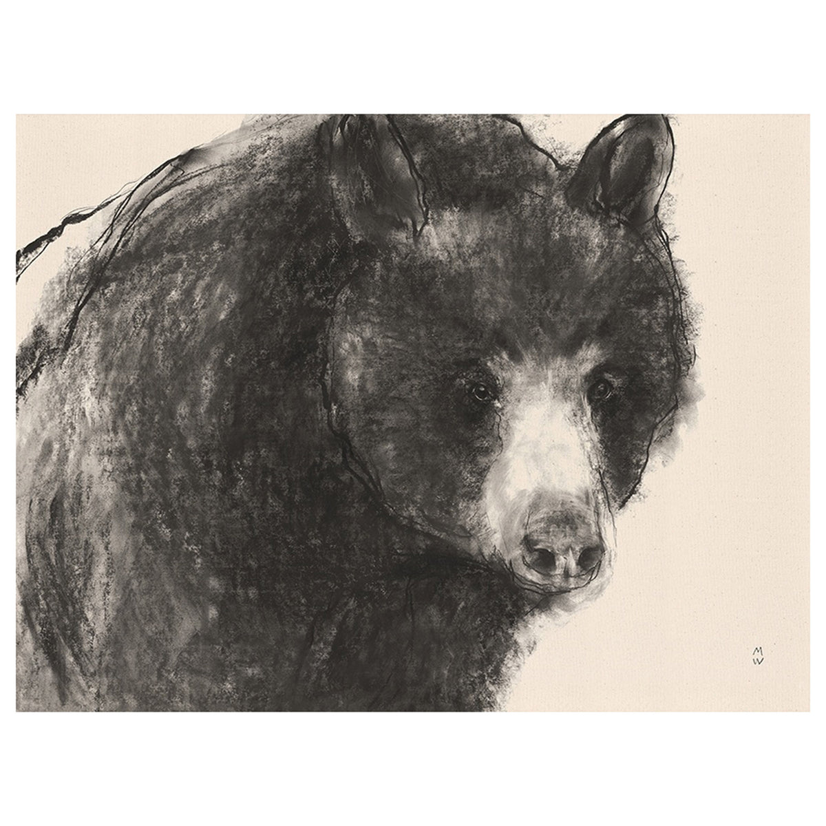 Wild Sketch Observe