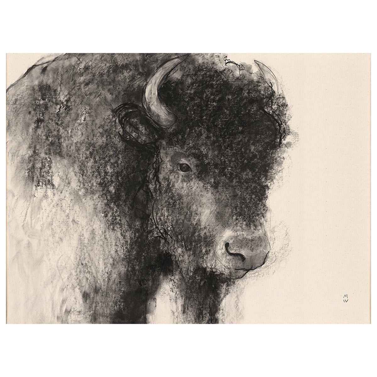 Wild Sketch Calm
