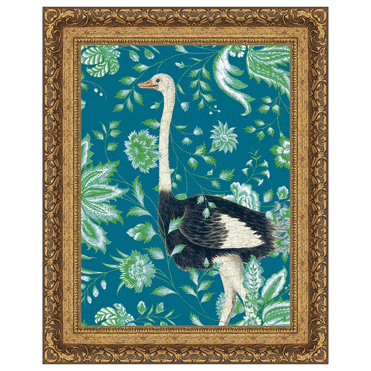 Wild Wonderland - Ostrich