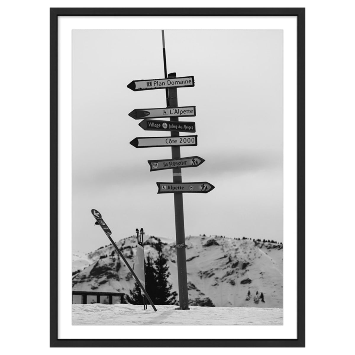 Snowy Directions