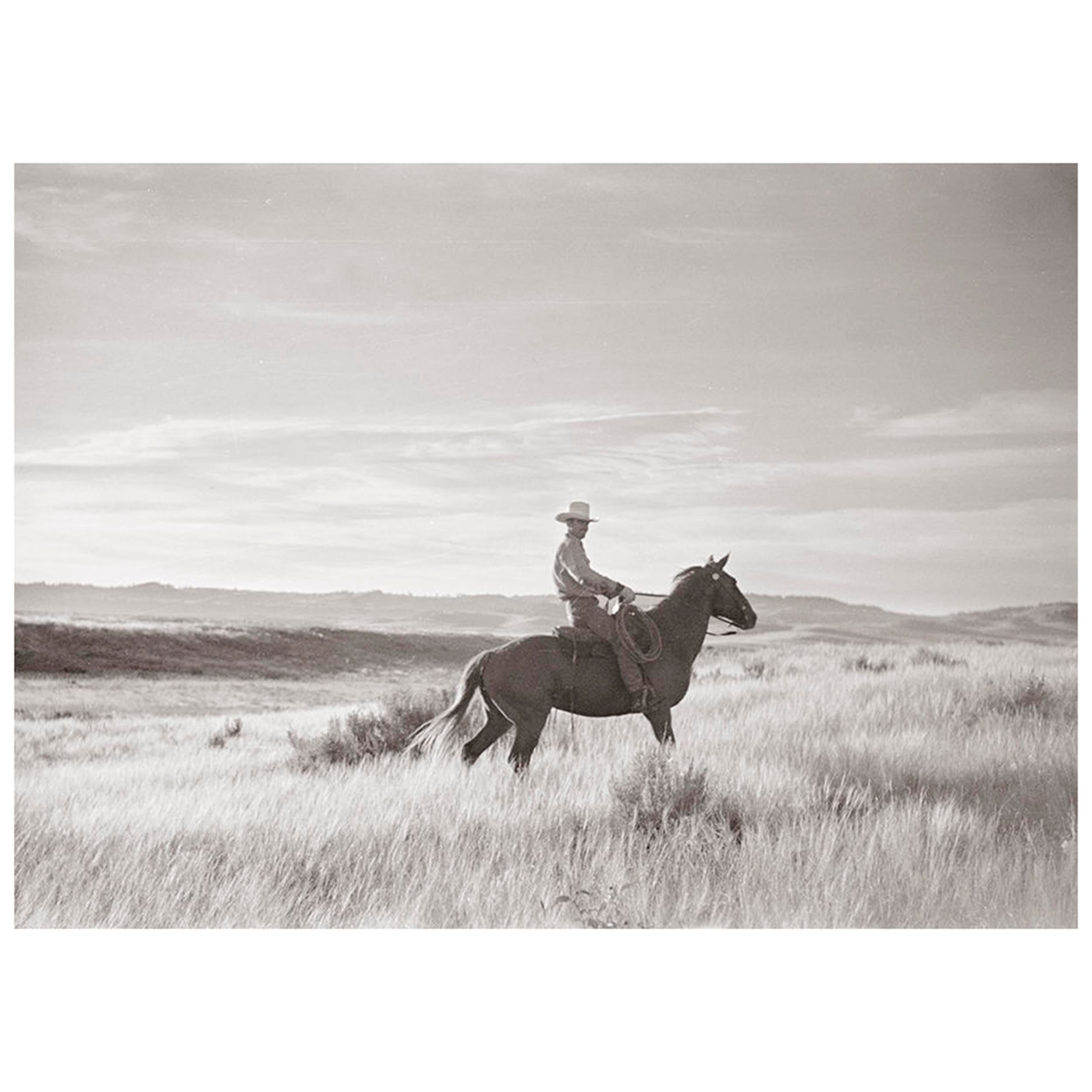 Range Rider