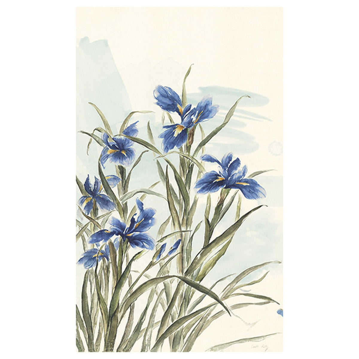 January Iris II