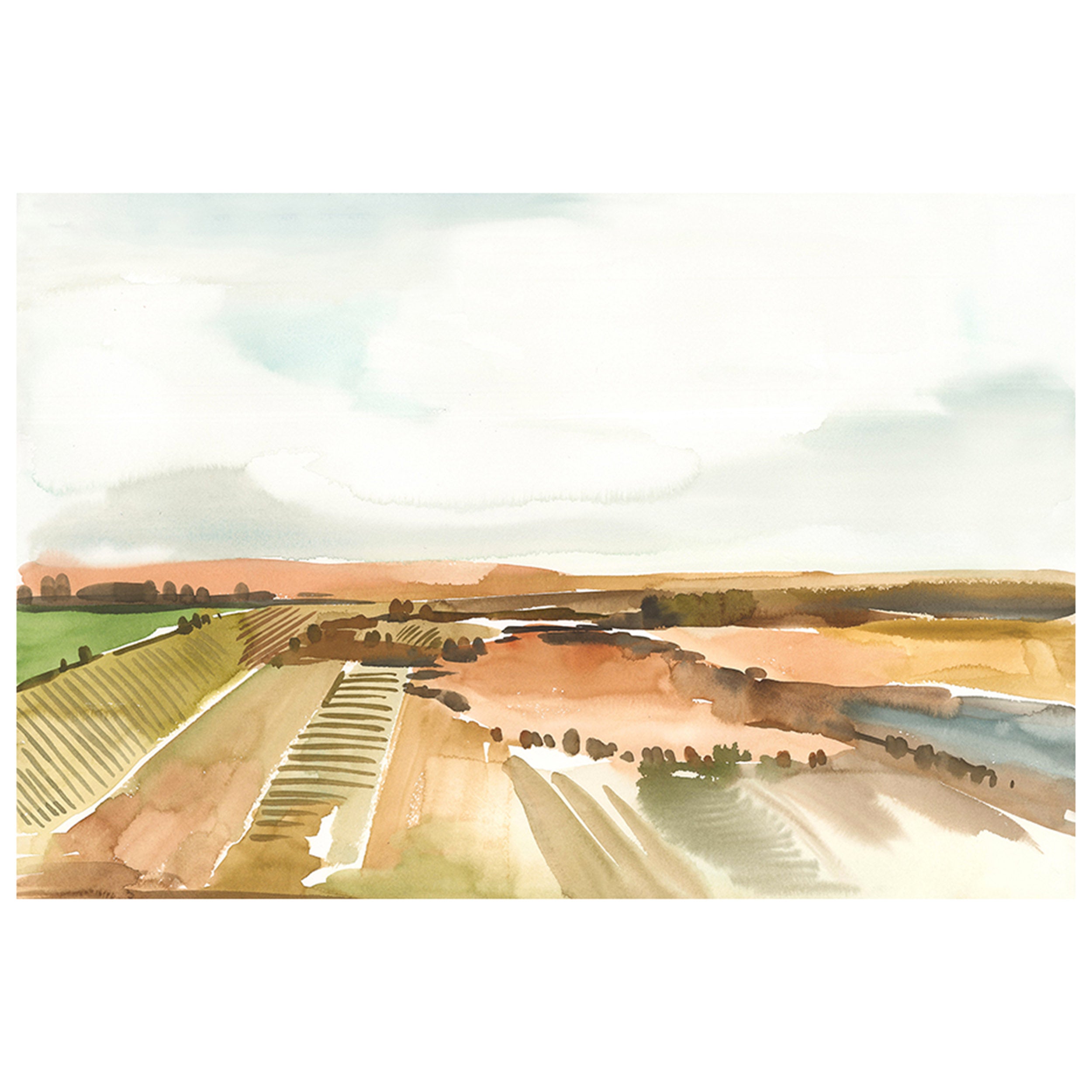 Wine Field V