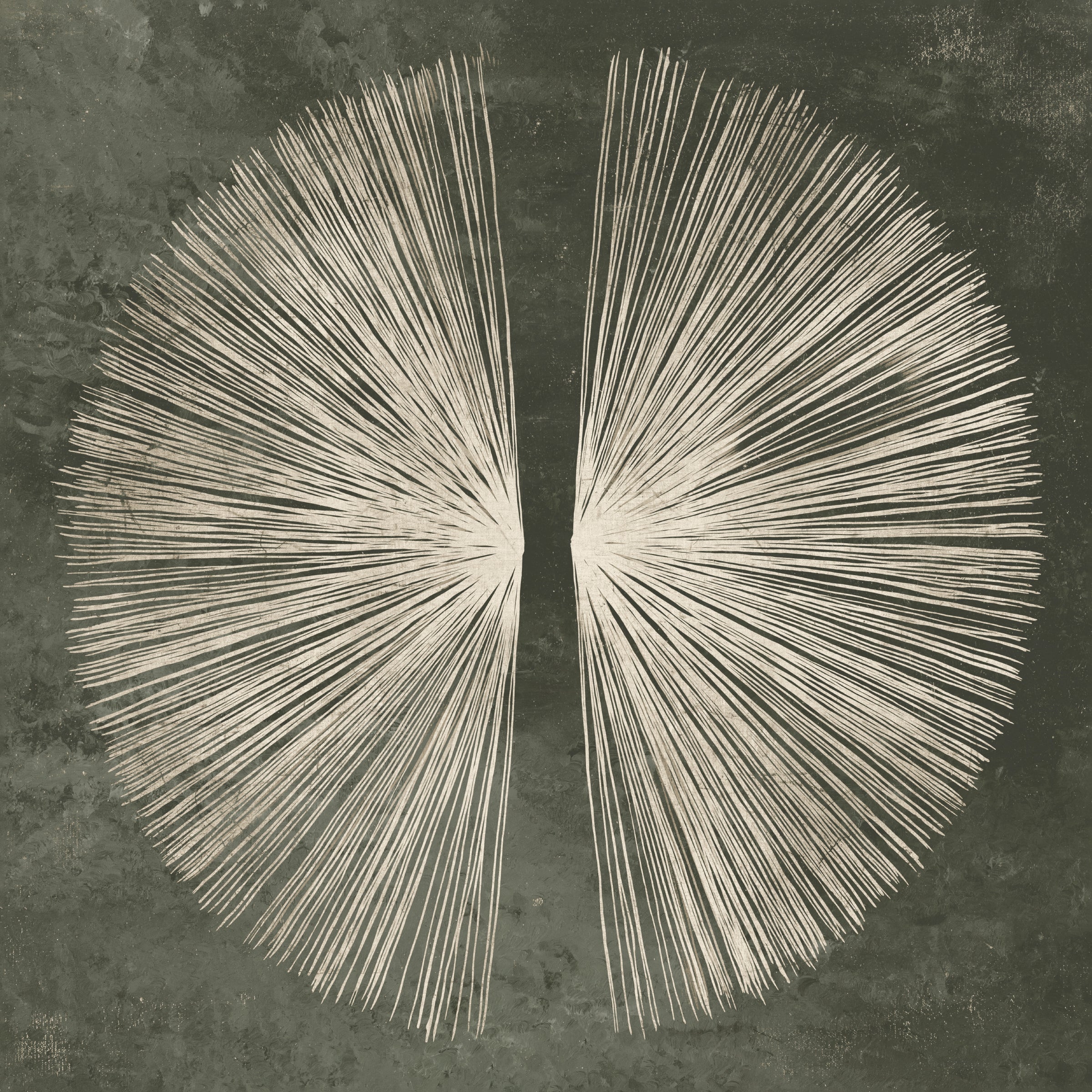 Connected Emotion II