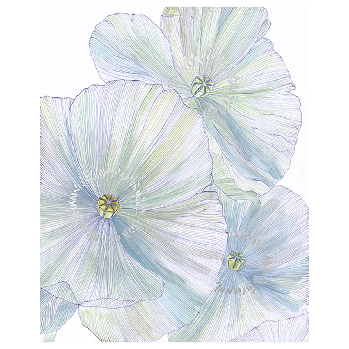 Summer Petals I