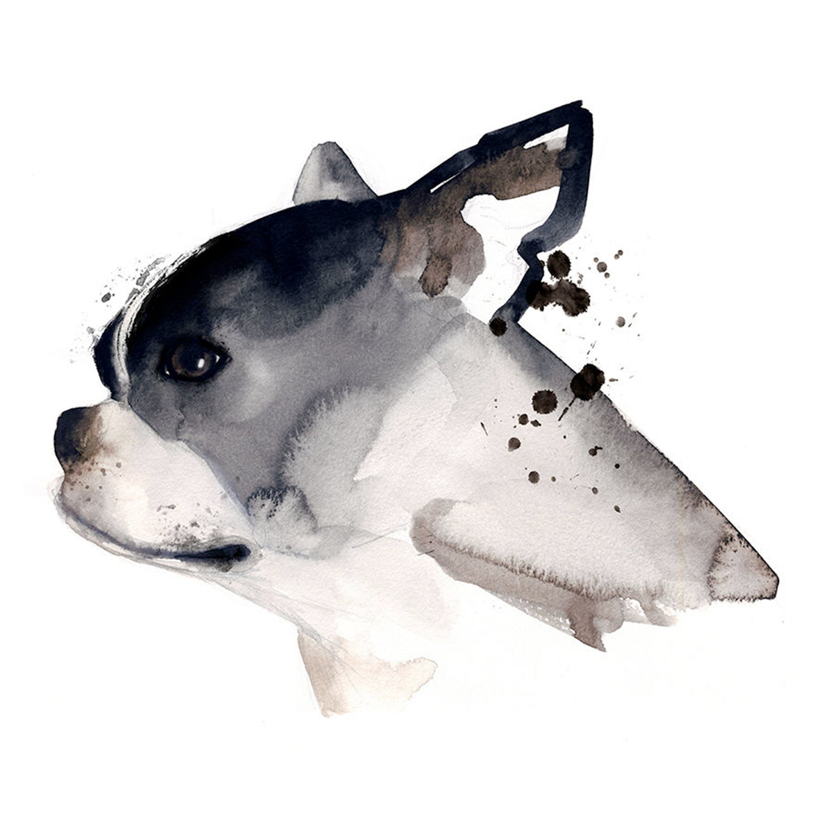 Dog Days I