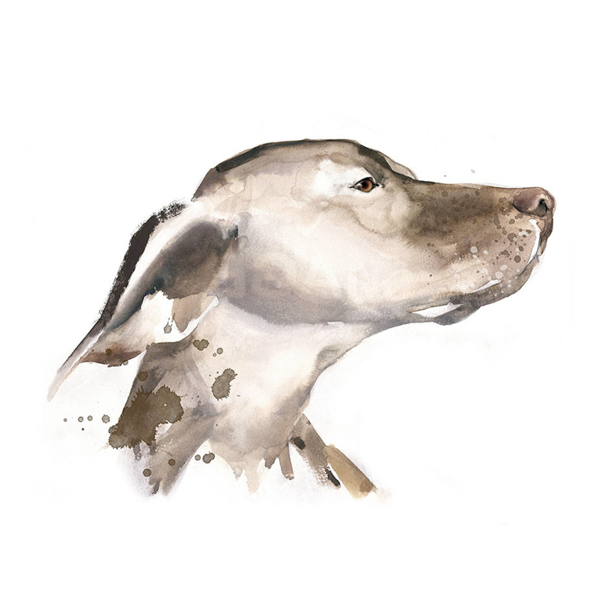 Dog Days IV