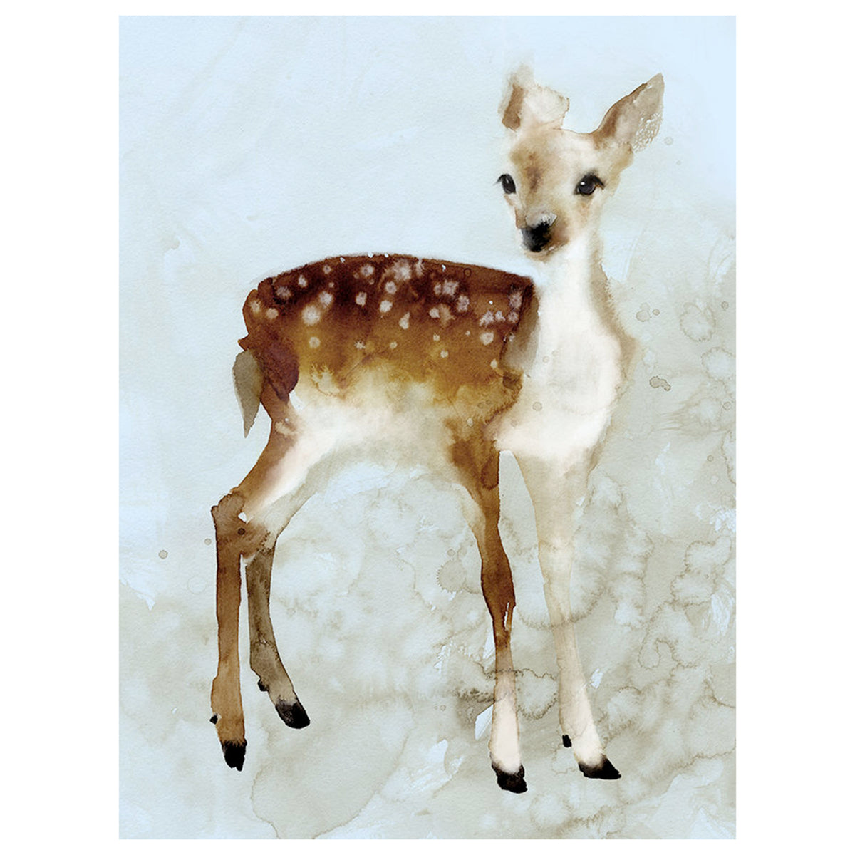Forest Fawn I