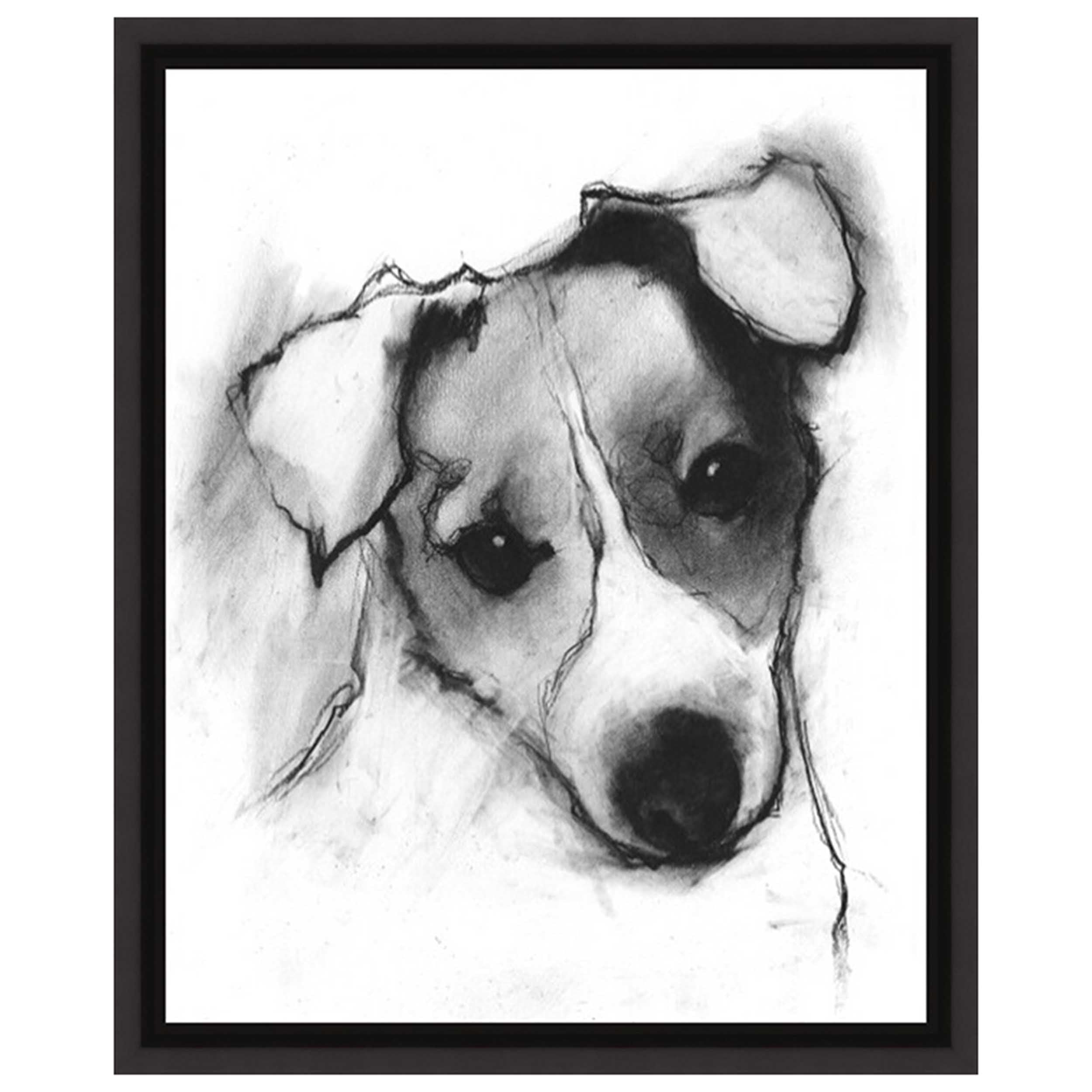 Study of a Dog IV