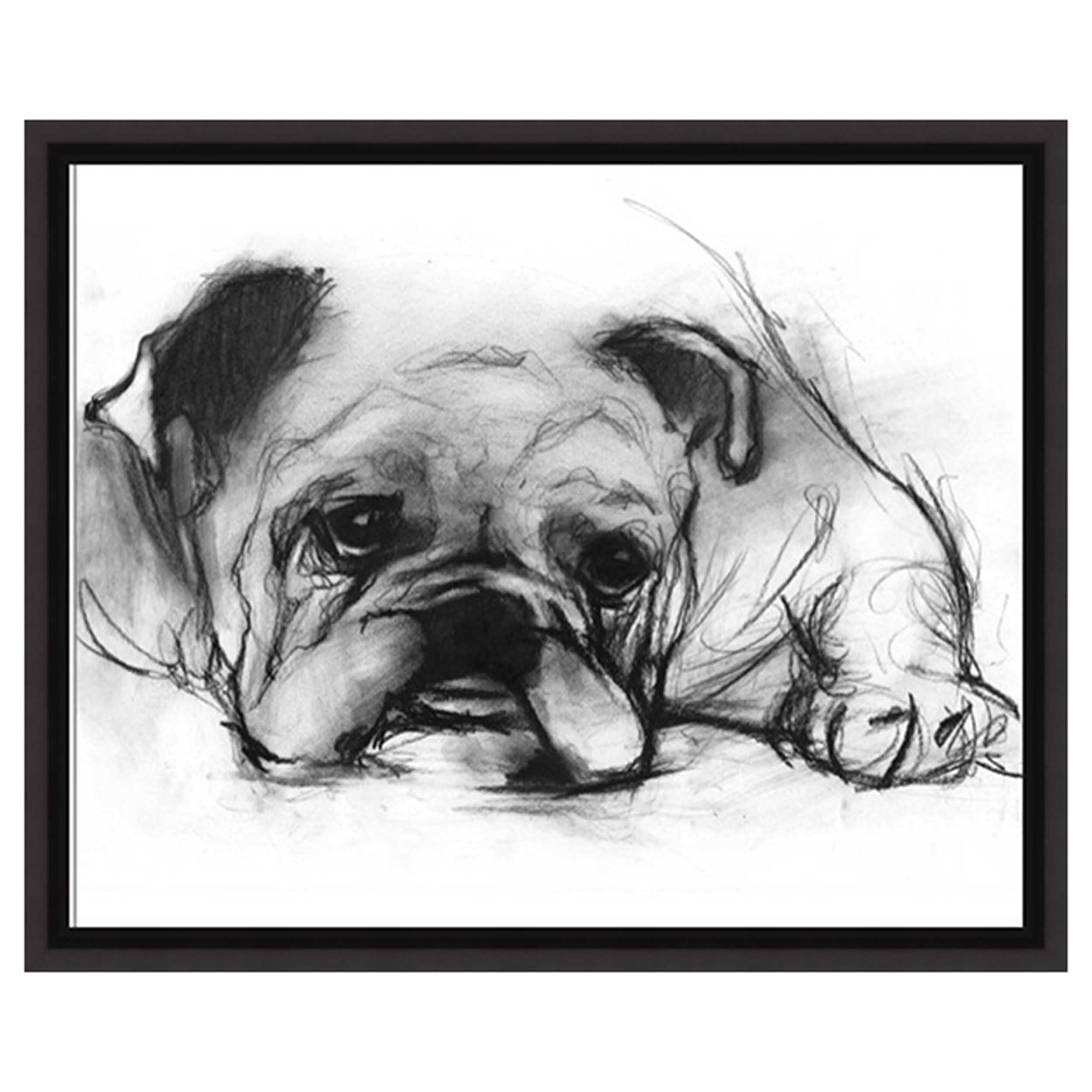 Study of a Dog VII