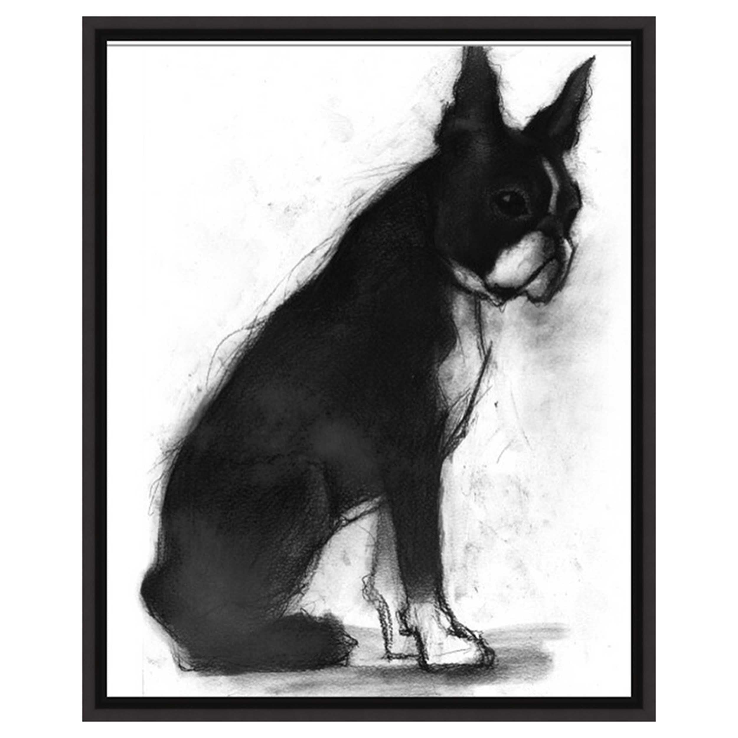 Study of Dog IX