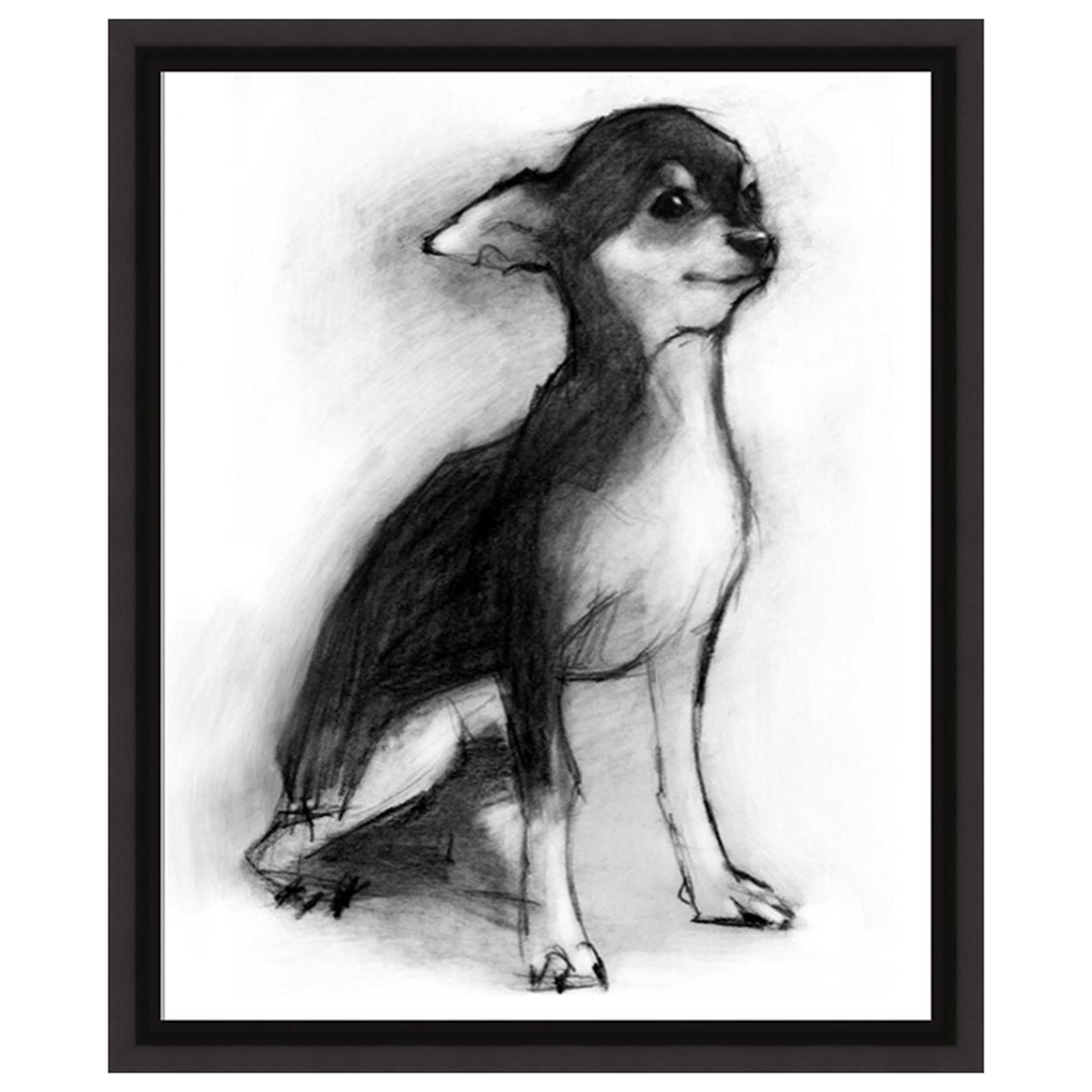 Study of Dog XI