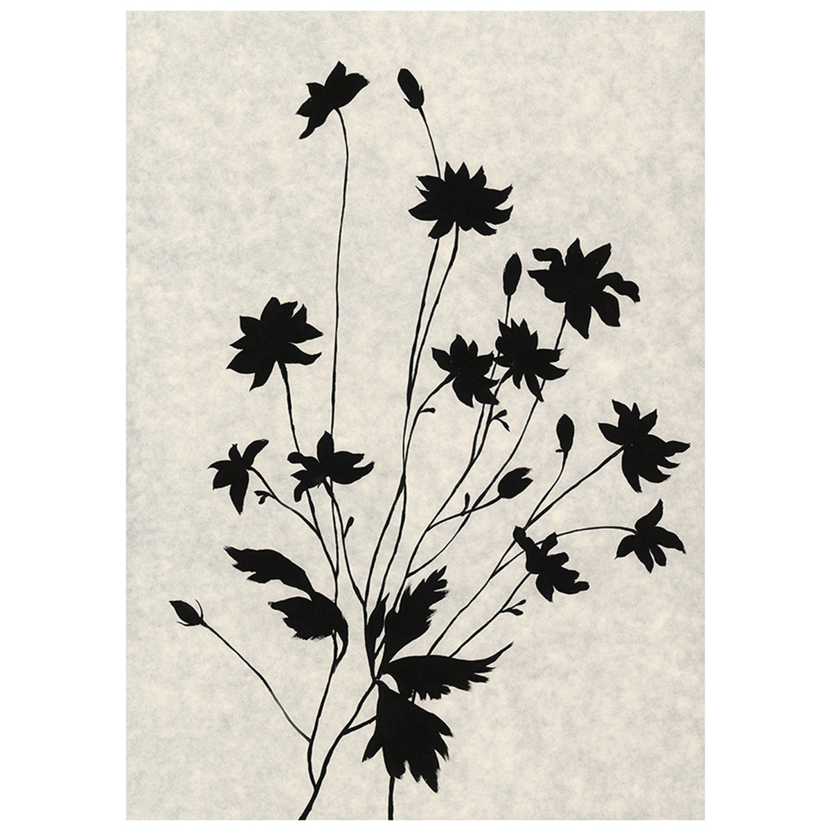 Flower in Poetry III