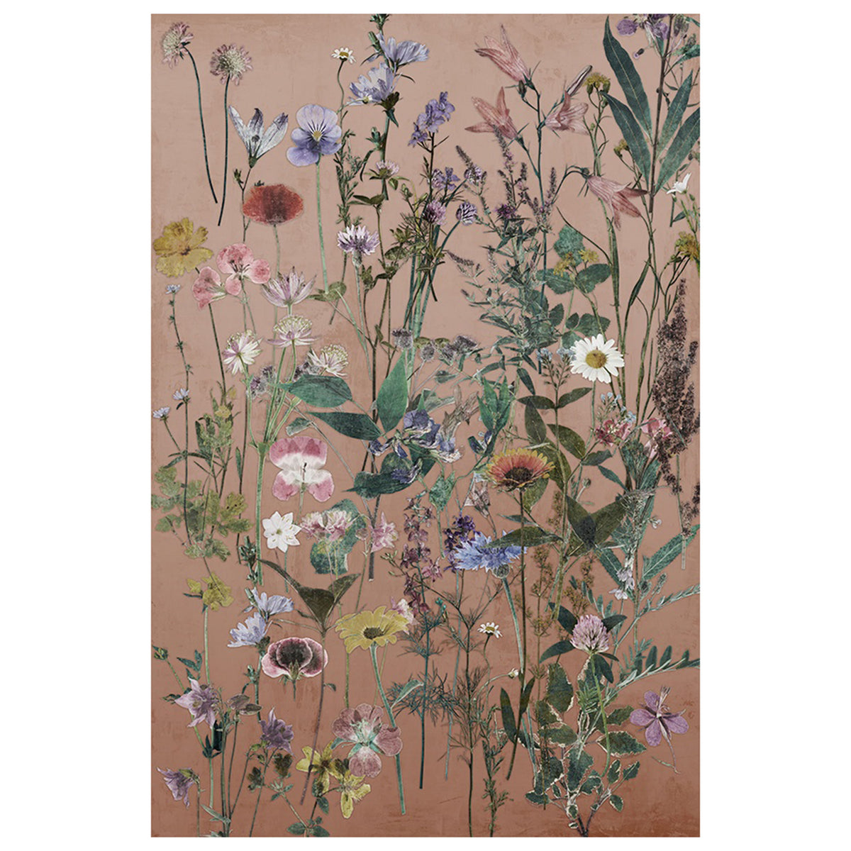 Wild Grace I