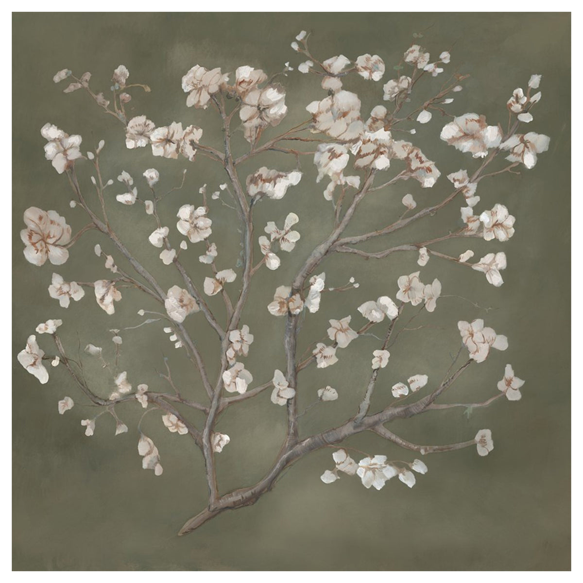 Bloom and Blossom II