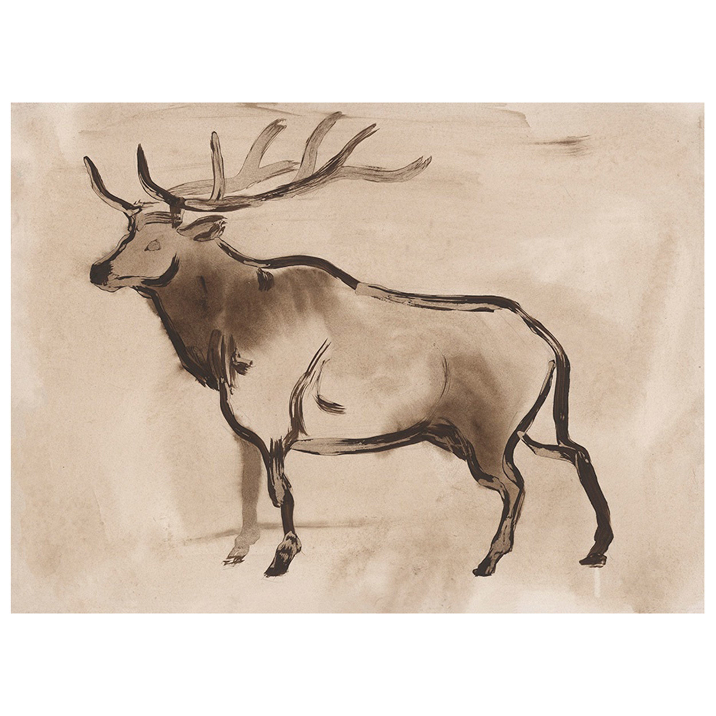 Western Wildlife III