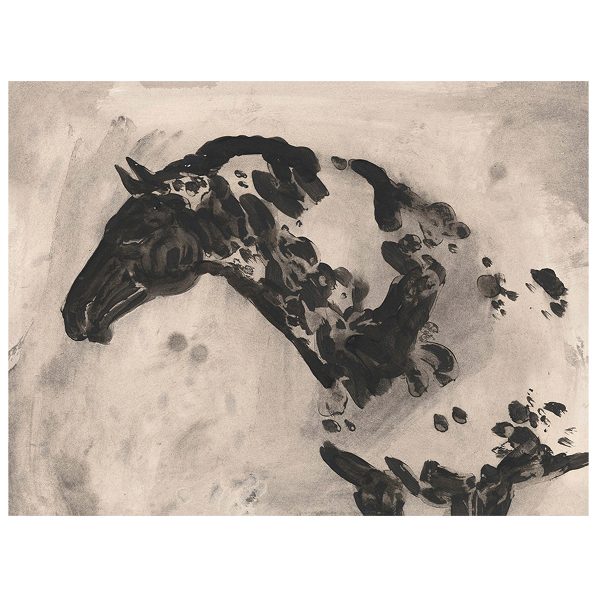 Appaloosa I