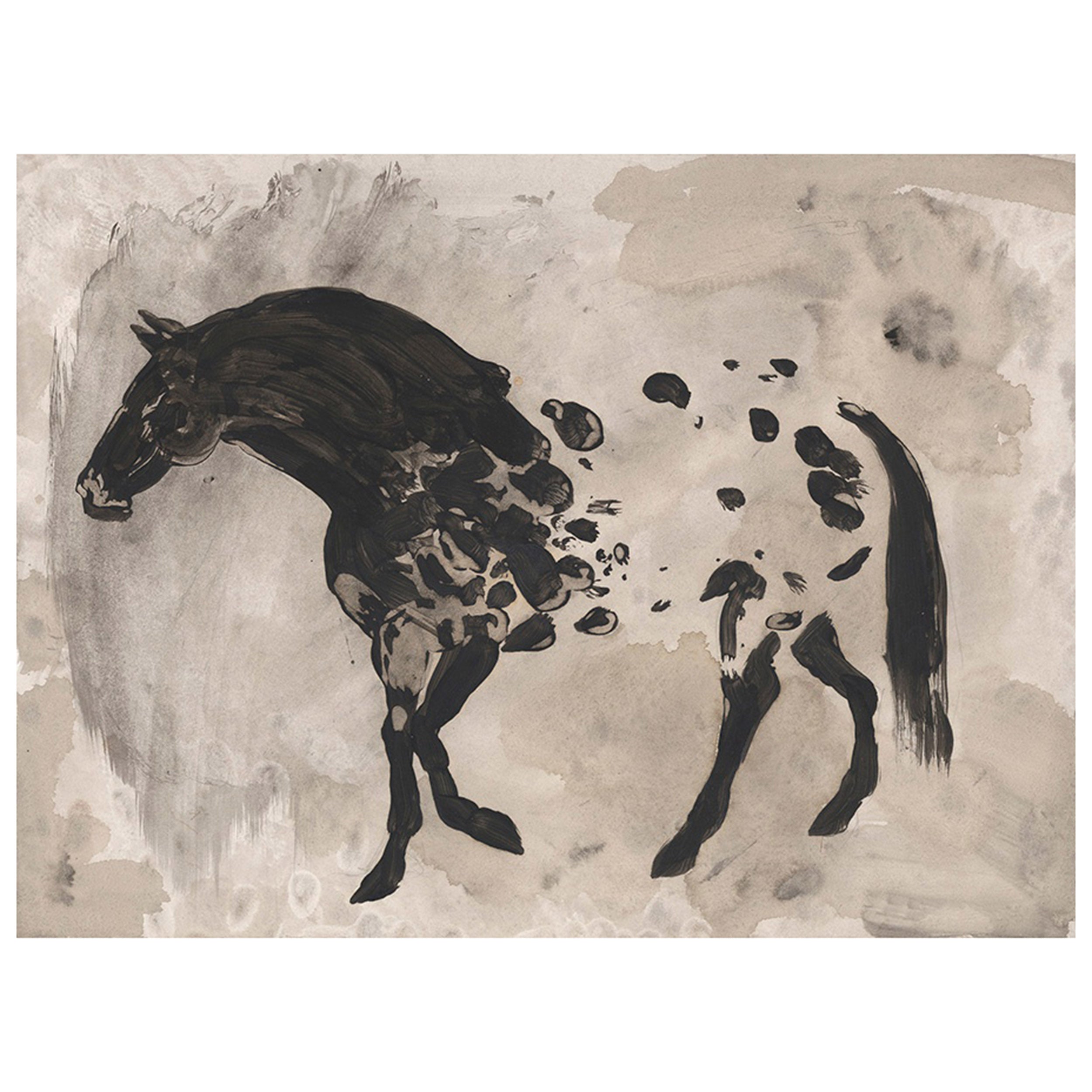 Appaloosa II