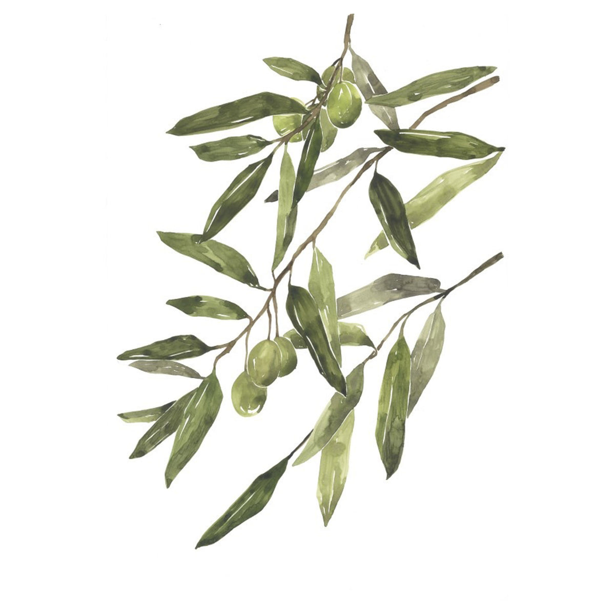 Olive Grove I
