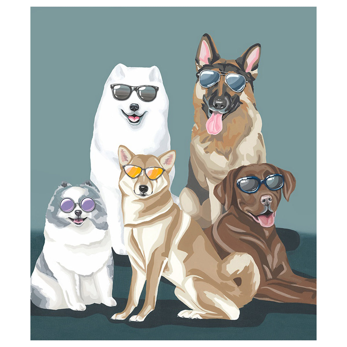 Fashion Dogs II