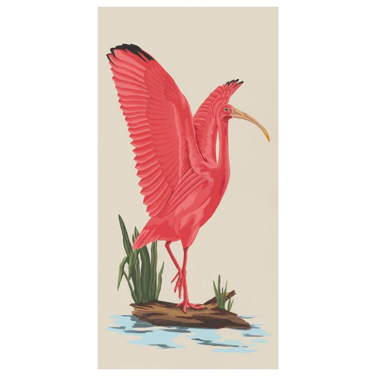 Scarlet Ibis