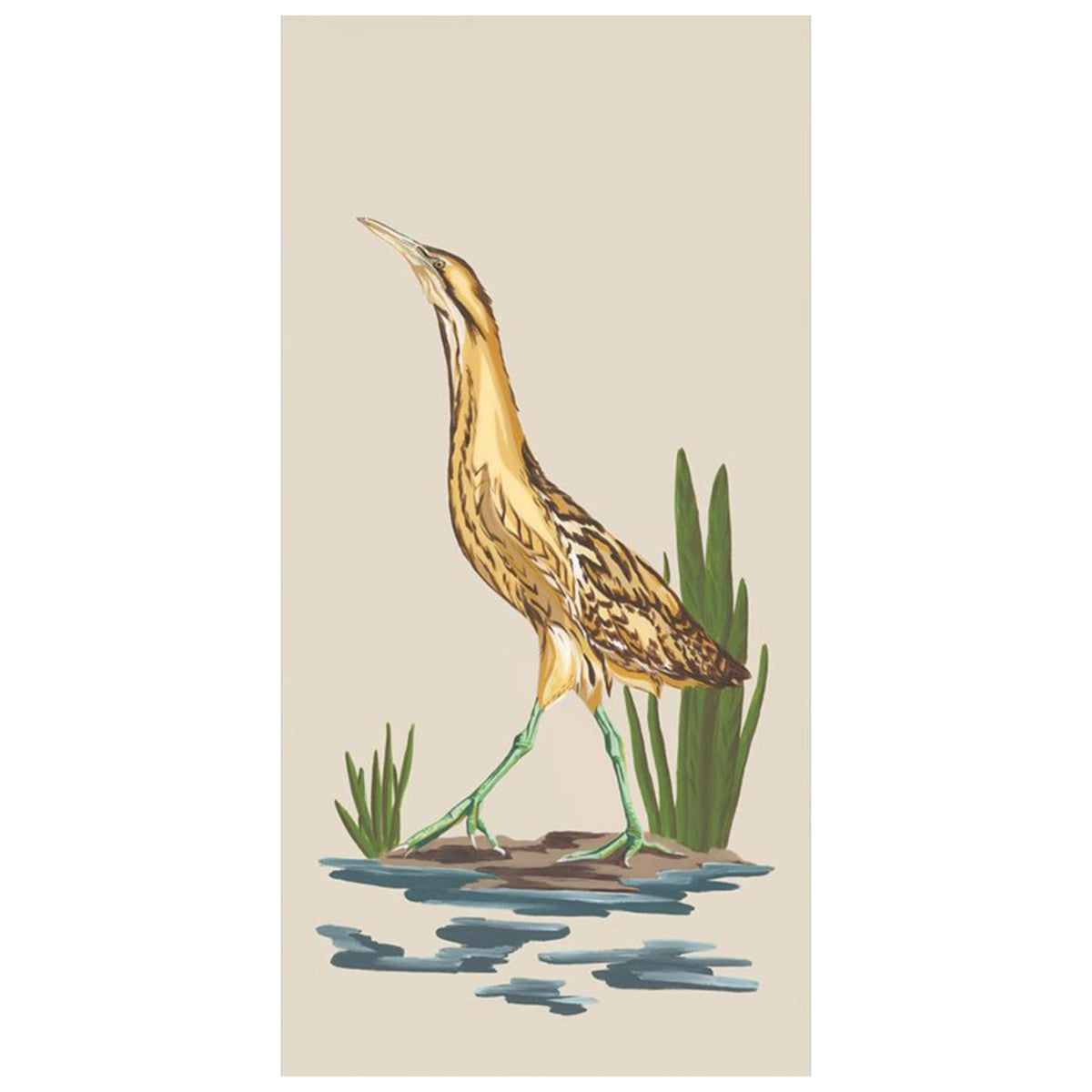 Eurasian Bittern