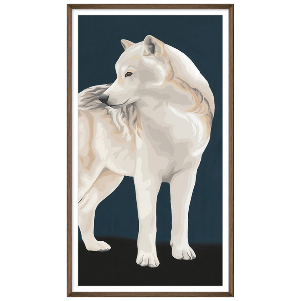 North American Wolf