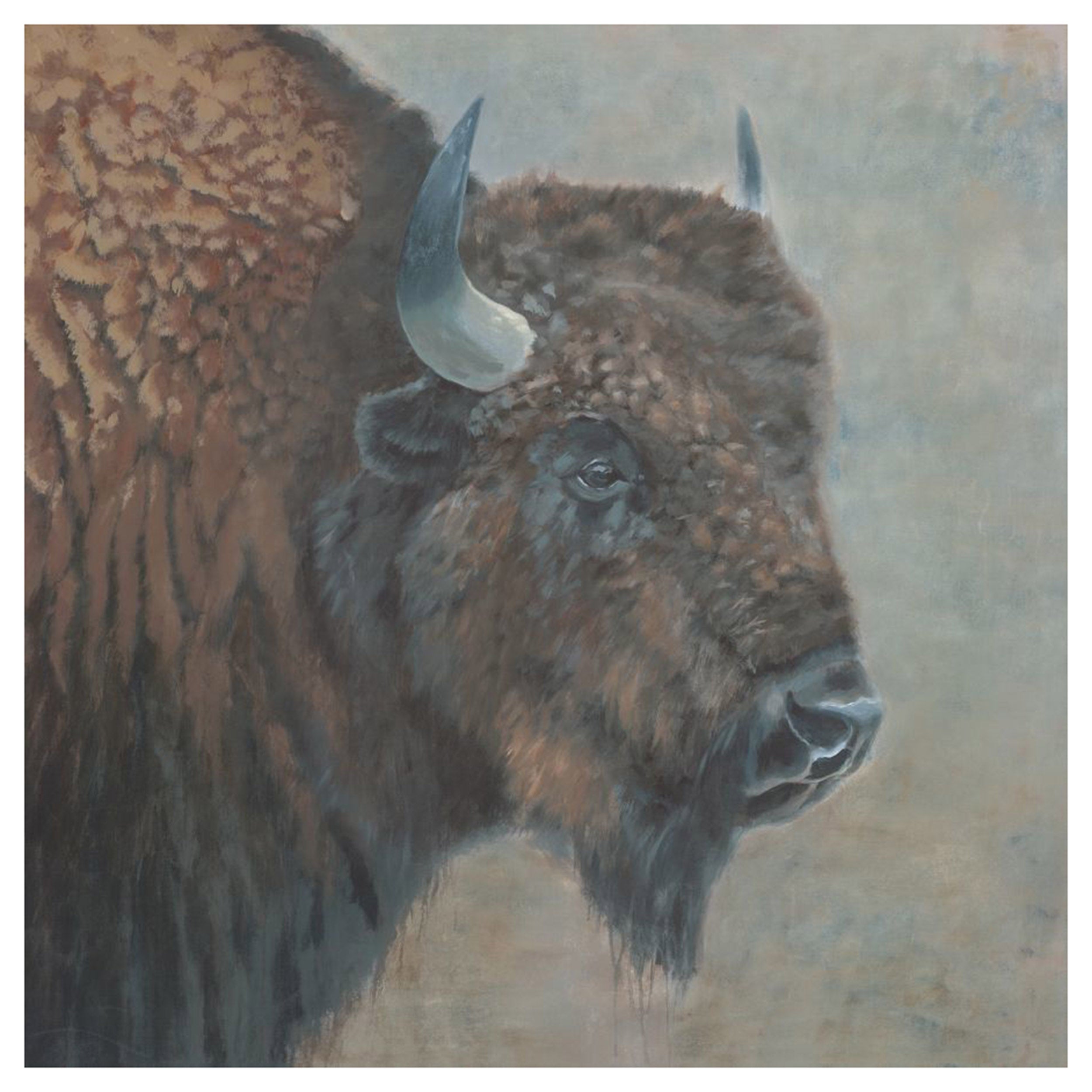 The American Bison