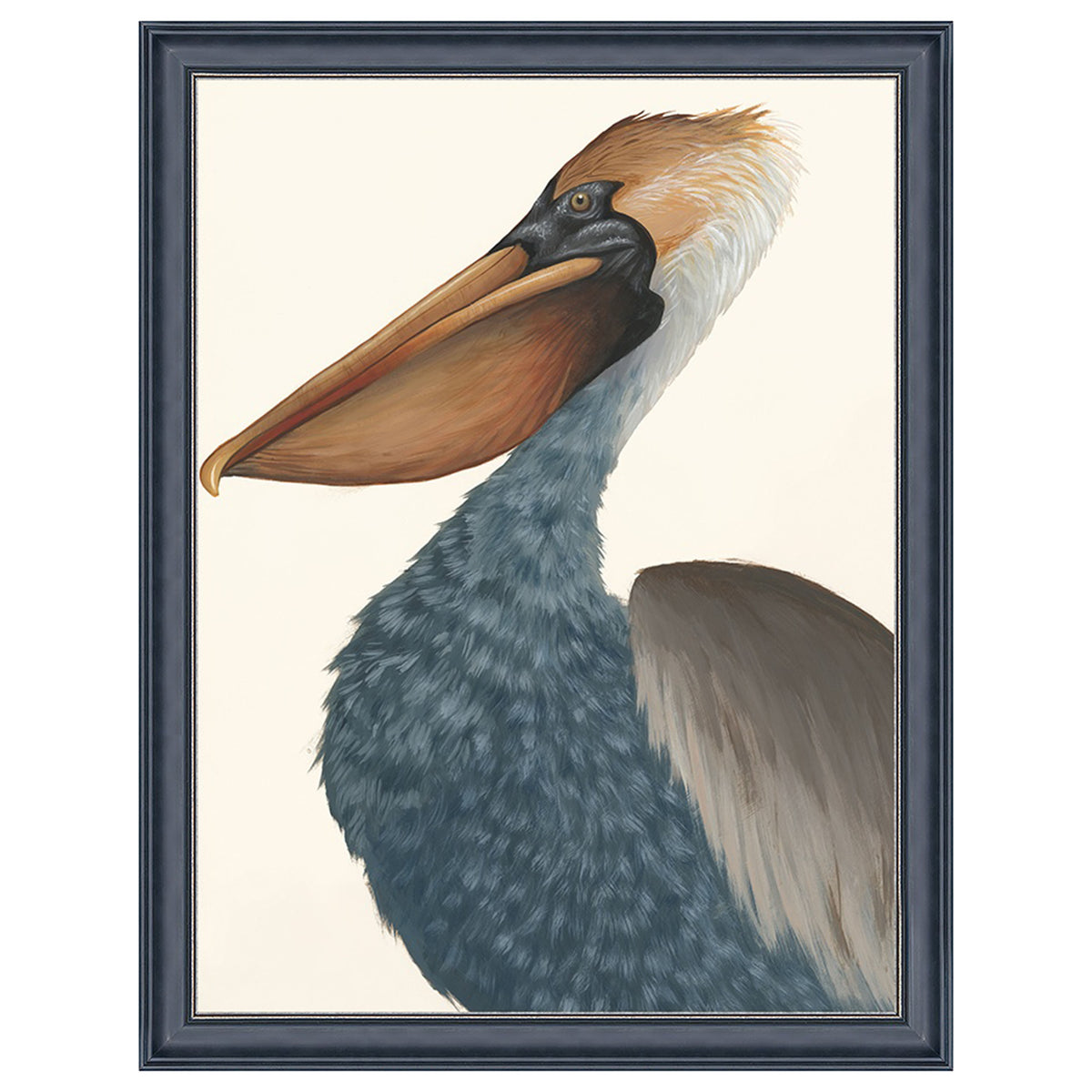 Drawn Pelican I