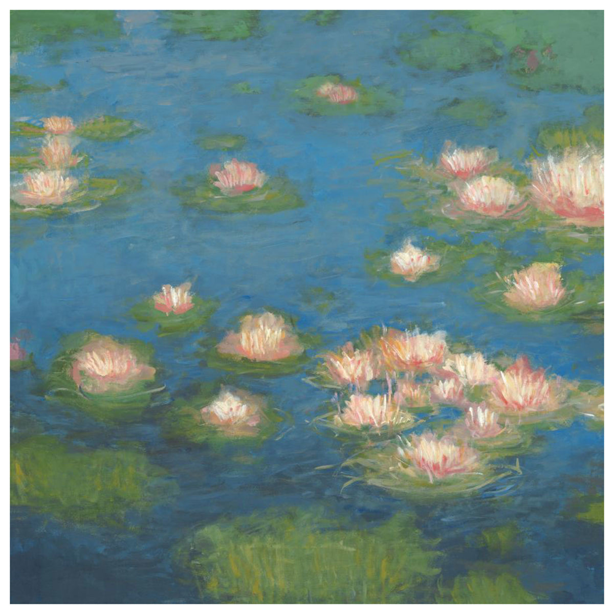 Water Lily Pond