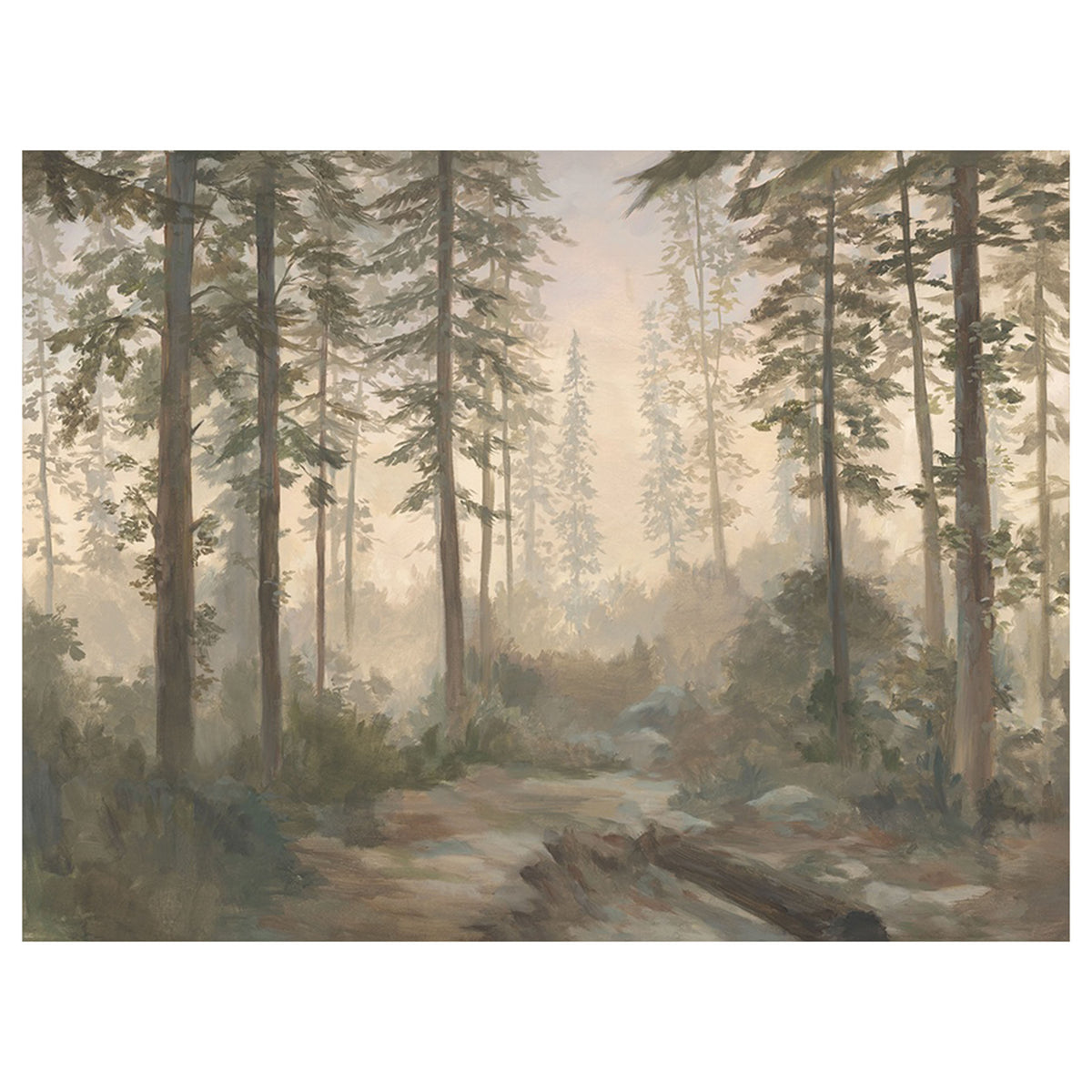 Forest Trail III